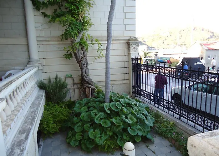 Albatros Bed & Breakfast