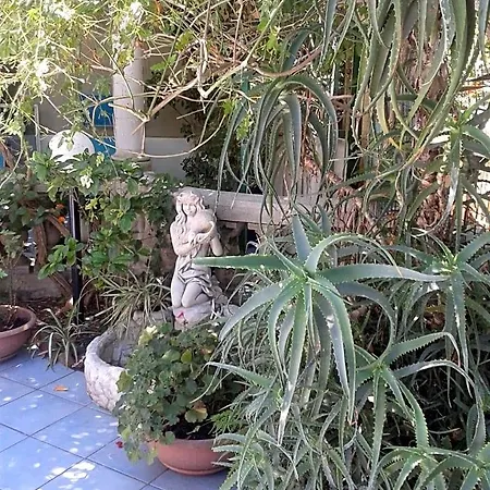 Albatros Bed and breakfast Lipari (Isola Lipari)