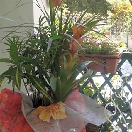 Bed & Breakfast Albatros