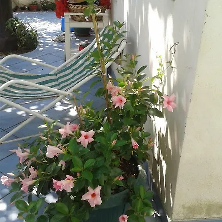 Albatros Bed and breakfast Lipari (Isola Lipari)