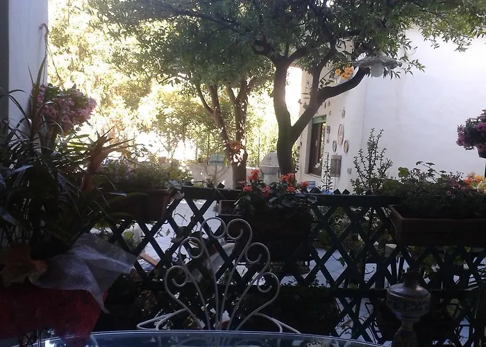 Albatros ليباري