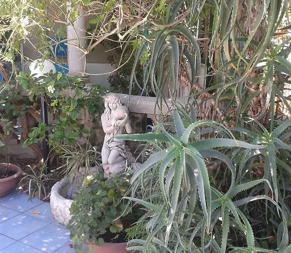 فندق مبيت وإفطار Albatros 4*