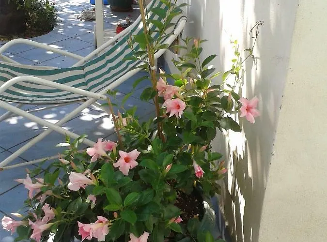 Albatros Bed & Breakfast Lipari (Isola Lipari)